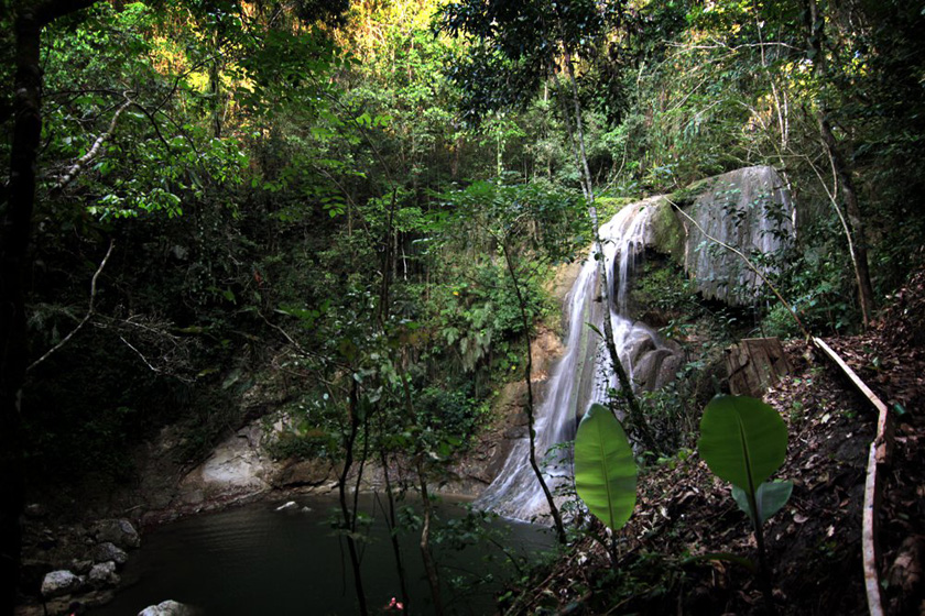Puerto_Rico_Falls_840