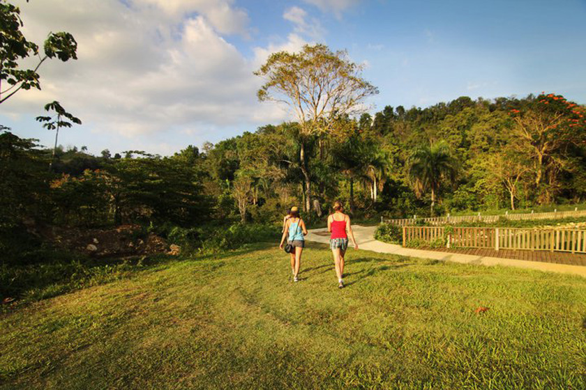 Puerto_Rico_Finding_Waterfall_840